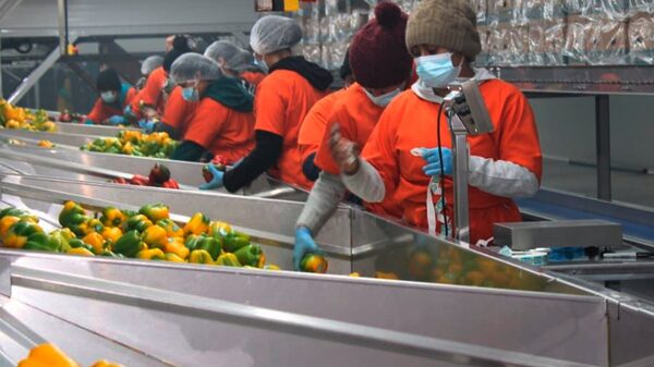 Razones por las que poner fin a las ZEDE en Honduras no será de la noche a la mañana Razones por las que poner fin a las ZEDE en Honduras no será de la noche a la mañana