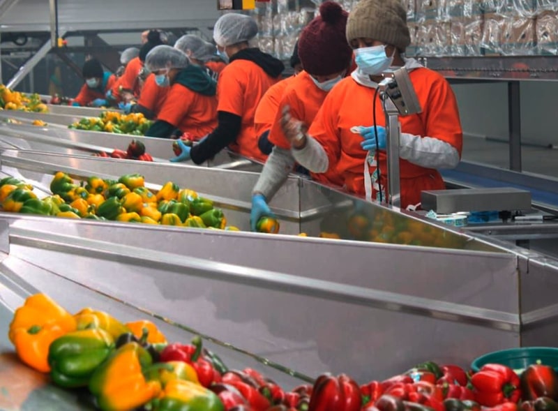 El parque agroindustrial que opera en la Zede Orquídea, al sur de Honduras. El parque agroindustrial que opera en la Zede Orquídea, al sur de Honduras.