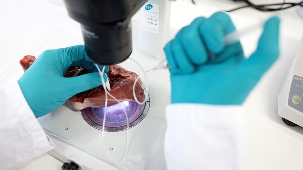 Frenesí por fármacos contra la obesidad es una burbuja, dice Kepler tras hit de Ozempic Frenesí por fármacos contra la obesidad es una burbuja, dice Kepler tras hit de Ozempic