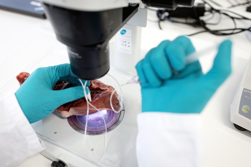 Novo Nordisk Novo Nordisk