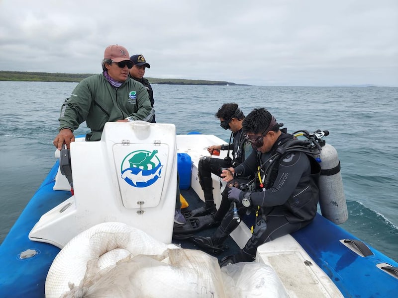 El Parque Nacional Galápagos fue declarado en 1959 como la primera área protegida del país. El Parque Nacional Galápagos fue declarado en 1959 como la primera área protegida del país.