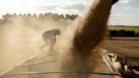 Argentina anota mayor superávit comercial en 18 meses y supera expectativas del mercado Argentina anota mayor superávit comercial en 18 meses y supera expectativas del mercado