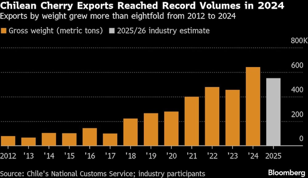 Chilean Cherry Exports Reached Record Volumes in 2024 | Exports by weight grew more than eightfold from 2012 to 2024 Chilean Cherry Exports Reached Record Volumes in 2024 | Exports by weight grew more than eightfold from 2012 to 2024