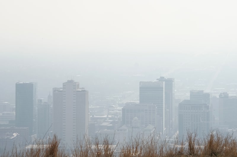 Contaminación Contaminación