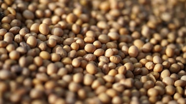 El aceite de soja cae después de que EE.UU. e Irán acordaran un alto al fuego de dos semanas El aceite de soja cae después de que EE.UU. e Irán acordaran un alto al fuego de dos semanas