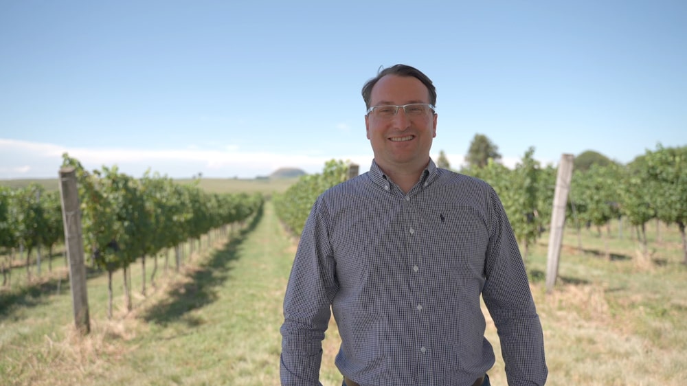Dos bastidores ao holofote: Nova Aliança troca lógica de commodity por vinho premium Dos bastidores ao holofote: Nova Aliança troca lógica de commodity por vinho premium