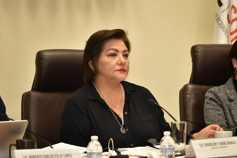 Guadalupe Taddei Zavala, nueva consejera presidenta del INE (Cortesía: IIE Sonora) Guadalupe Taddei Zavala, nueva consejera presidenta del INE (Cortesía: IIE Sonora)