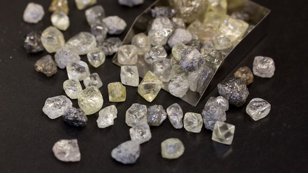 Cultivar diamantes: el nuevo negocio al que le quiere apuntar Amazon Cultivar diamantes: el nuevo negocio al que le quiere apuntar Amazon