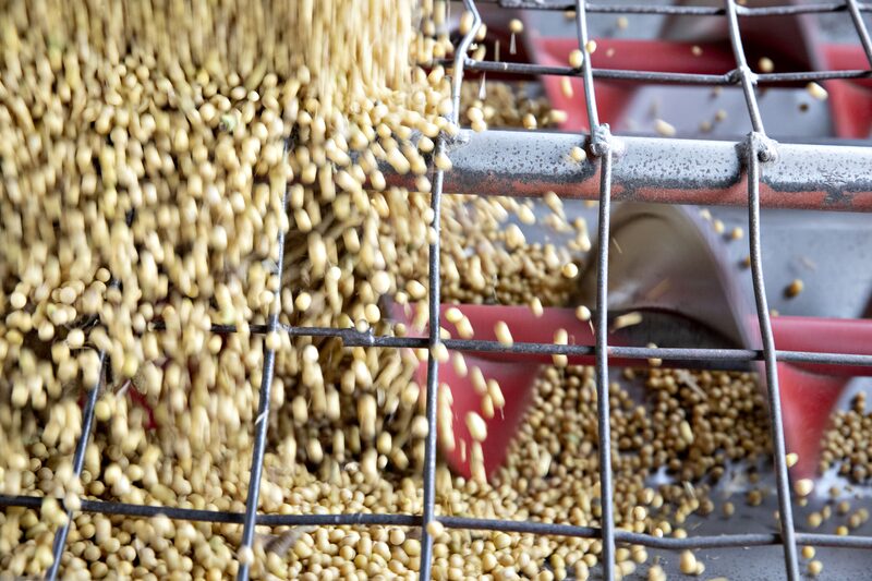Hedge Funds Go All In On Soybeans As Bull Wagers Jump Sevenfold Hedge Funds Go All In On Soybeans As Bull Wagers Jump Sevenfold