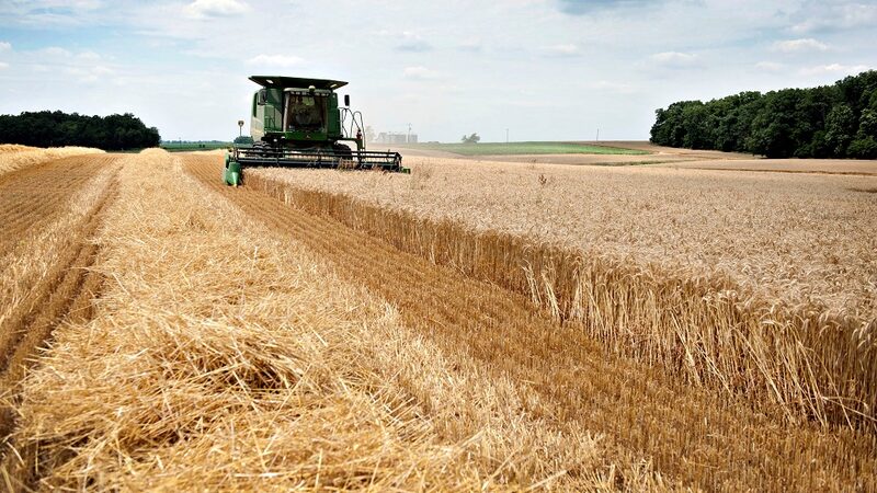 Gigante asiático não compra trigo americano desde o início de outubro do ano passado, de acordo com os dados do Departamento de Agricultura dos EUA (USDA) (Foto: Daniel Acker/Bloomberg via Getty Images) Gigante asiático não compra trigo americano desde o início de outubro do ano passado, de acordo com os dados do Departamento de Agricultura dos EUA (USDA) (Foto: Daniel Acker/Bloomberg via Getty Images)
