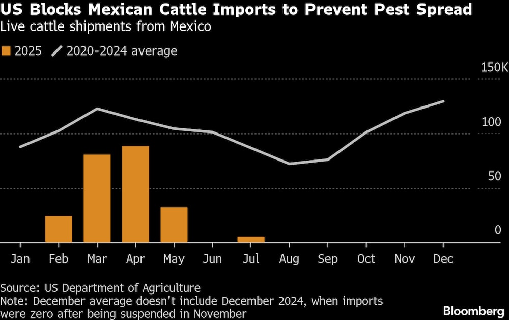 Remessas de gado vivo do México Remessas de gado vivo do México