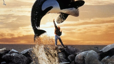 Warner Bros. prepara nueva versión de ‘Liberen a Willy’: ¿qué pasó con la orca Keiko? Warner Bros. prepara nueva versión de ‘Liberen a Willy’: ¿qué pasó con la orca Keiko?