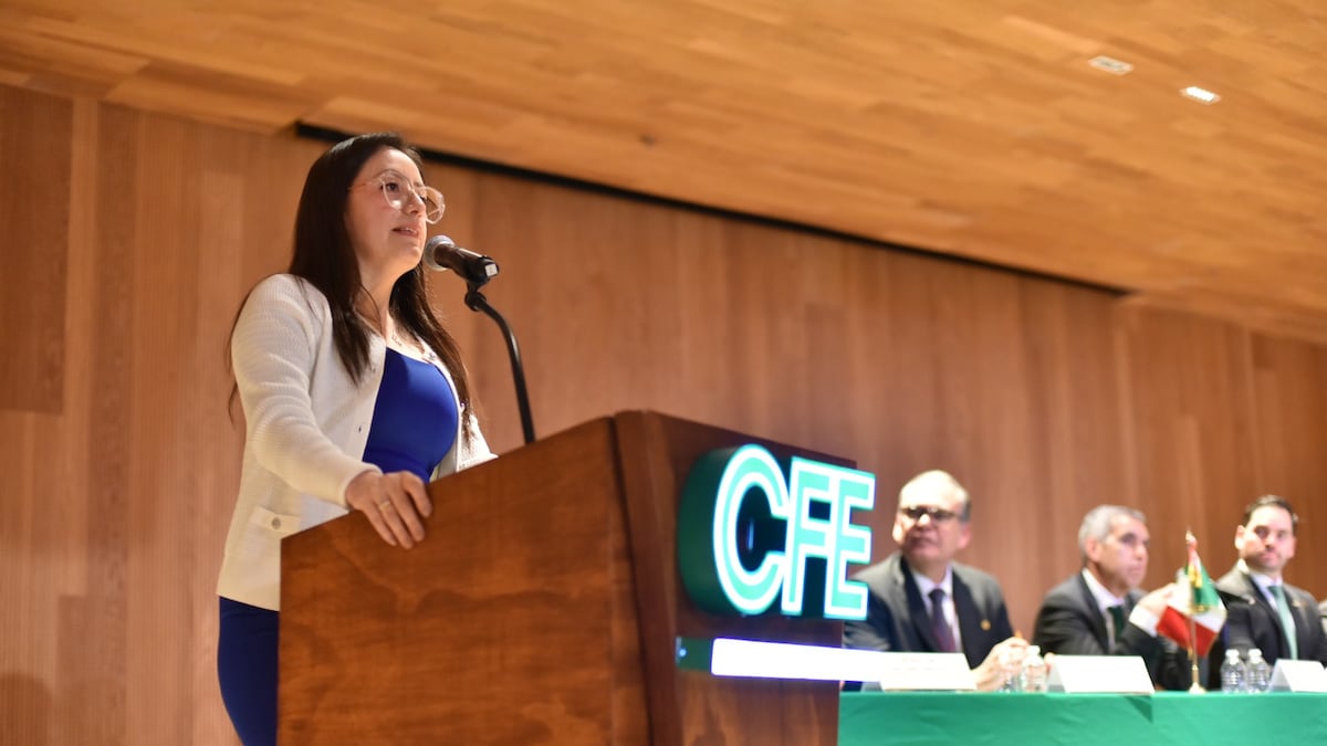 CFE presenta proyectos de redes eléctricas y centrales a la industria privada