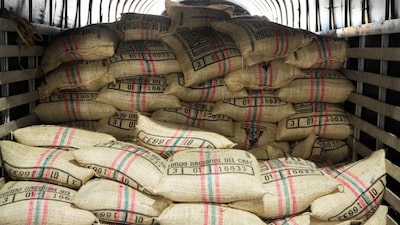 Café colombiano se exportó por primera vez por Puerto Antioquia: así fue el envío Café colombiano se exportó por primera vez por Puerto Antioquia: así fue el envío