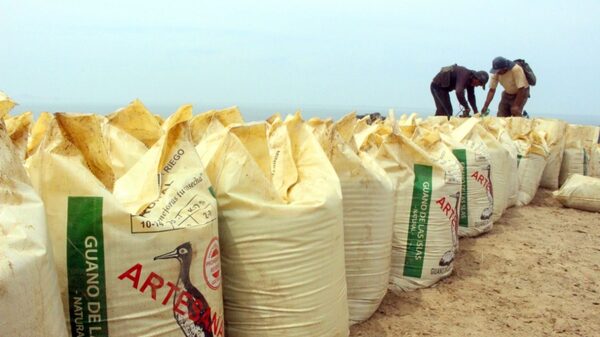 Compra de fertilizantes en Perú: Gobierno adjudicará cuarto proceso a otra empresa Compra de fertilizantes en Perú: Gobierno adjudicará cuarto proceso a otra empresa