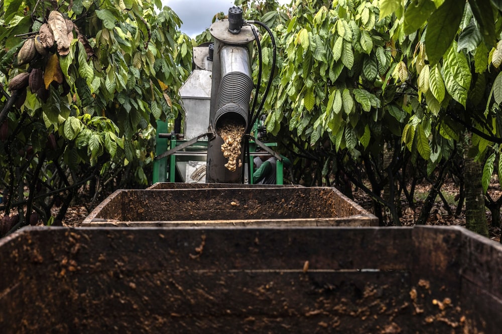 A machine used to harvest cocoa pods on a farm in Eunapolis, Bahia state, Brazil, on April 5. A machine used to harvest cocoa pods on a farm in Eunapolis, Bahia state, Brazil, on April 5.