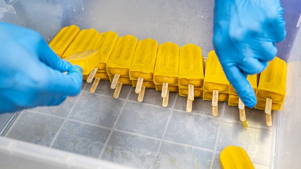 Indústria aposta em ‘comida sem cor’ para driblar custo elevado de corantes naturais Indústria aposta em ‘comida sem cor’ para driblar custo elevado de corantes naturais