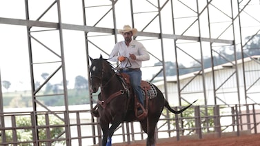 Leilão da JBJ Ranch em Goiás tem cavalo vendido a R$ 44 milhões e supera expectativas Leilão da JBJ Ranch em Goiás tem cavalo vendido a R$ 44 milhões e supera expectativas