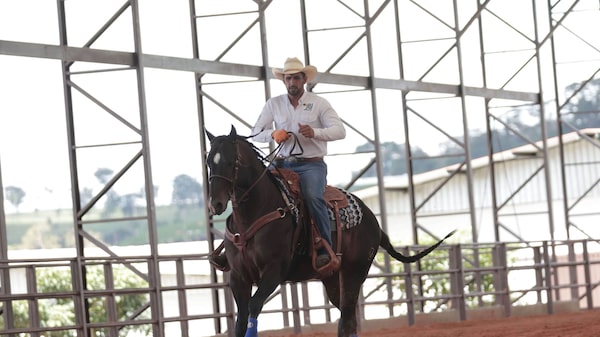 Leilão da JBJ Ranch em Goiás tem cavalo vendido a R$ 44 milhões e supera expectativas Leilão da JBJ Ranch em Goiás tem cavalo vendido a R$ 44 milhões e supera expectativas