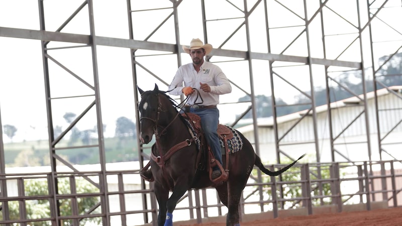 Leilão da JBJ Ranch em Goiás tem cavalo vendido a R$ 44 milhões e supera expectativas Leilão da JBJ Ranch em Goiás tem cavalo vendido a R$ 44 milhões e supera expectativas