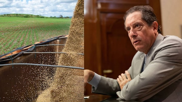 “Dólar soja”: el mercado argentino prevé un impacto acotado tras la medida del BCRA “Dólar soja”: el mercado argentino prevé un impacto acotado tras la medida del BCRA