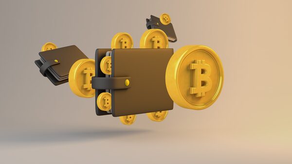 Cómo proteger su billetera de criptomonedas Cómo proteger su billetera de criptomonedas