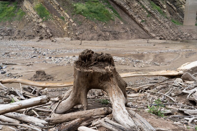 Los embalses afectados por la sequía se acercan a niveles críticos y amenazan la producción eléctrica colombiana Los embalses afectados por la sequía se acercan a niveles críticos y amenazan la producción eléctrica colombiana