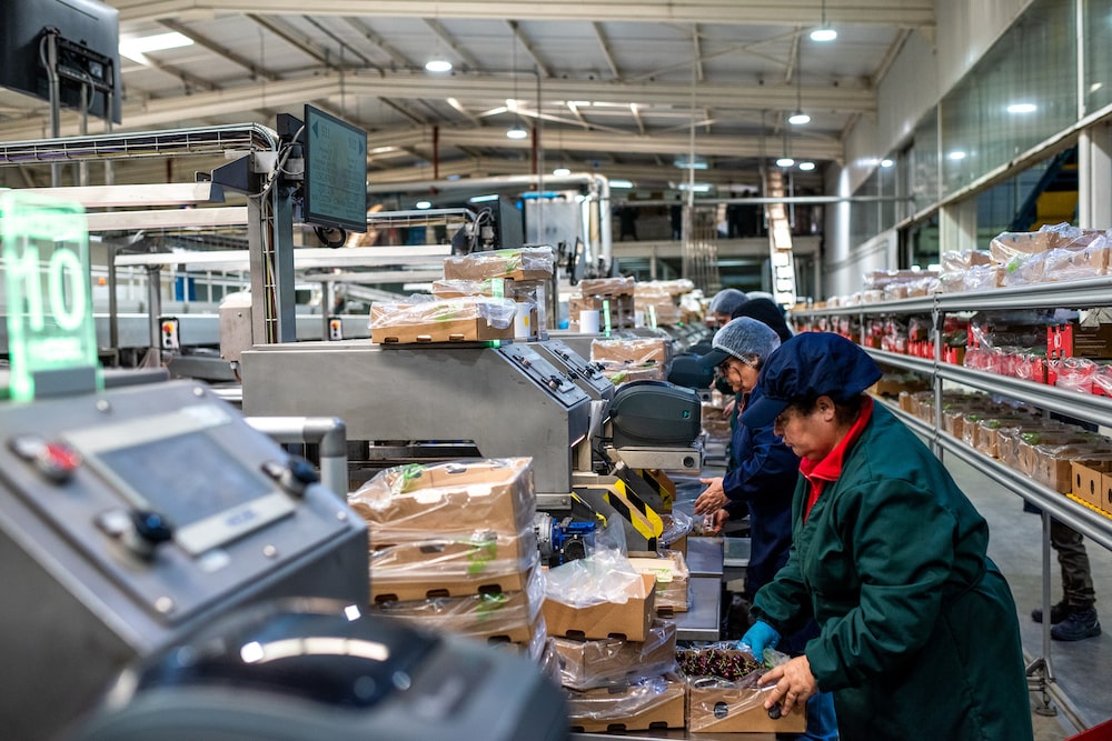 Chile cerejas Chile cerejas