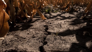 OMM revela las zonas de Latinoamérica que tuvieron olas de calor “sin precedentes” en 2025 OMM revela las zonas de Latinoamérica que tuvieron olas de calor “sin precedentes” en 2025