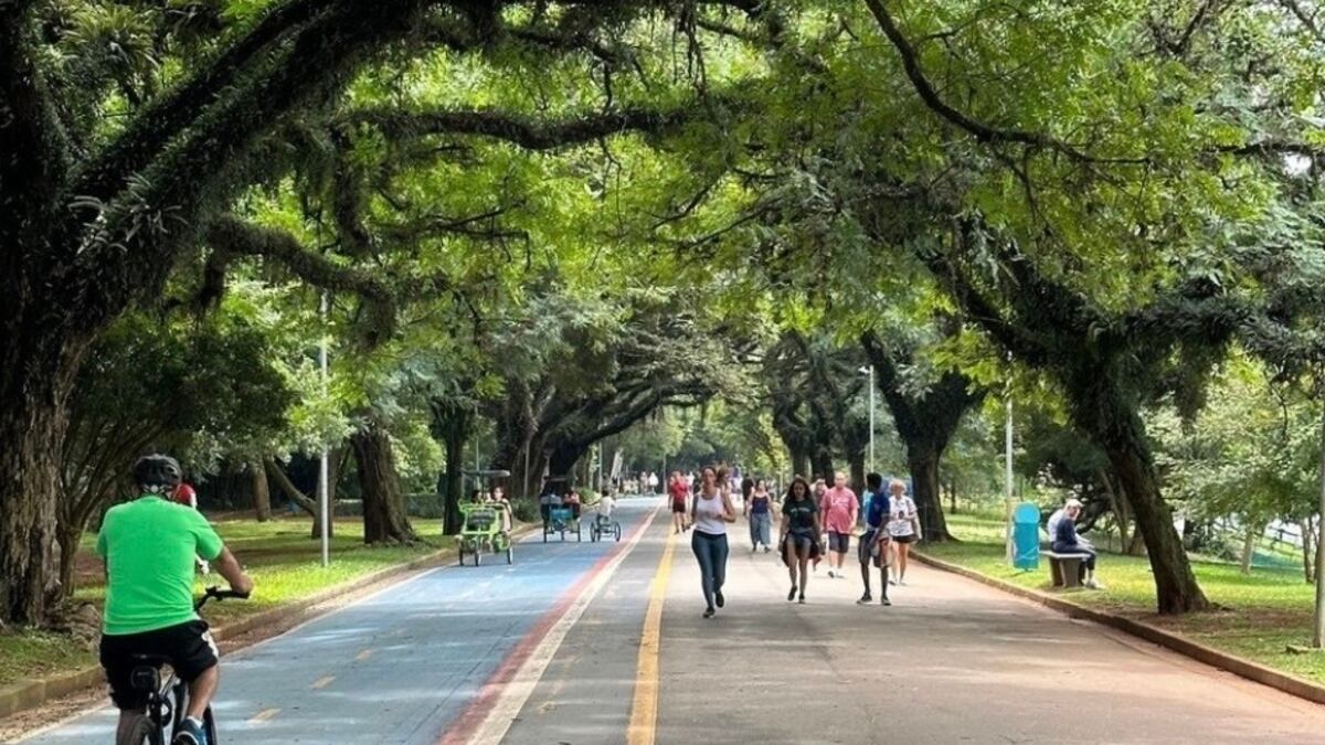 Vhita, marca nativa digital de suplementos, chega a R$ 100 mi com foco no público 40+