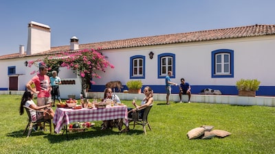Por que o Brasil se tornou prioridade na estratégia de expansão dos vinhos do Alentejo Por que o Brasil se tornou prioridade na estratégia de expansão dos vinhos do Alentejo