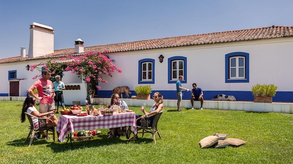 Por que o Brasil se tornou prioridade na estratégia de expansão dos vinhos do Alentejo Por que o Brasil se tornou prioridade na estratégia de expansão dos vinhos do Alentejo