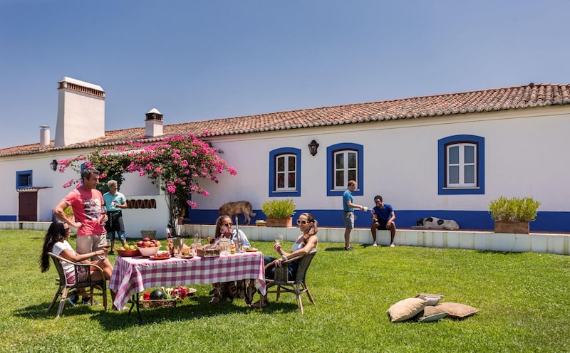 Como o Brasil se tornou prioridade na estratégia de crescimento dos vinhos do Alentejo Como o Brasil se tornou prioridade na estratégia de crescimento dos vinhos do Alentejo