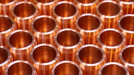 Mendoza: la cuna del Malbec argentino se entusiasma con la minería de cobre Mendoza: la cuna del Malbec argentino se entusiasma con la minería de cobre