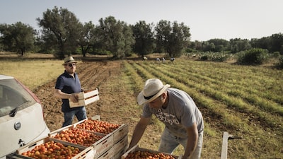 Italia planea apoyar Mercosur y allana el camino para el acuerdo comercial de la UE Italia planea apoyar Mercosur y allana el camino para el acuerdo comercial de la UE