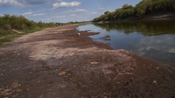 Argentina’s Worst Drought in Decades Lands Fresh Blow to Economy Argentina’s Worst Drought in Decades Lands Fresh Blow to Economy