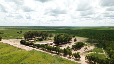BrasilAgro vende fazenda na Bahia após 17 anos de desenvolvimento por R$ 141 mi BrasilAgro vende fazenda na Bahia após 17 anos de desenvolvimento por R$ 141 mi