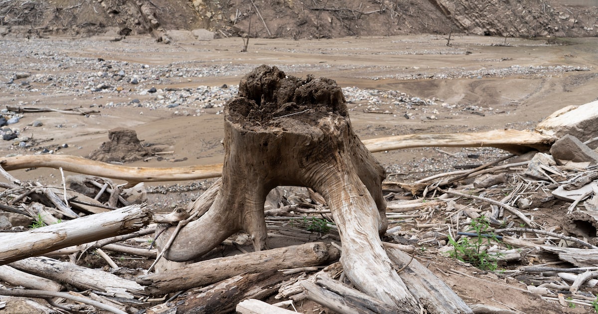 El Niño en América Latina: de clima a inflación