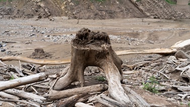 El Súper El Niño ya está aquí y amenaza alimentos y energía: qué significa para América Latina El Súper El Niño ya está aquí y amenaza alimentos y energía: qué significa para América Latina