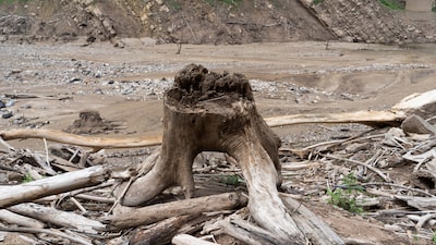 El Súper El Niño ya está aquí y amenaza alimentos y energía: qué significa para América Latina El Súper El Niño ya está aquí y amenaza alimentos y energía: qué significa para América Latina