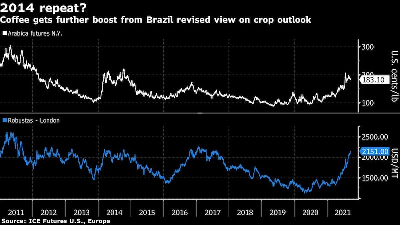 Café ganha novo impulso com revisão sobre perspectiva de safra do Brasil Café ganha novo impulso com revisão sobre perspectiva de safra do Brasil