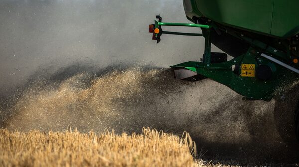 Precio del trigo salta; ataque ruso pone a prueba acuerdo con Ucrania sobre envíos Precio del trigo salta; ataque ruso pone a prueba acuerdo con Ucrania sobre envíos