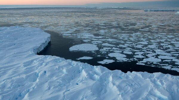 Alarma por disminución récord de hielo marino en la Antártida Alarma por disminución récord de hielo marino en la Antártida