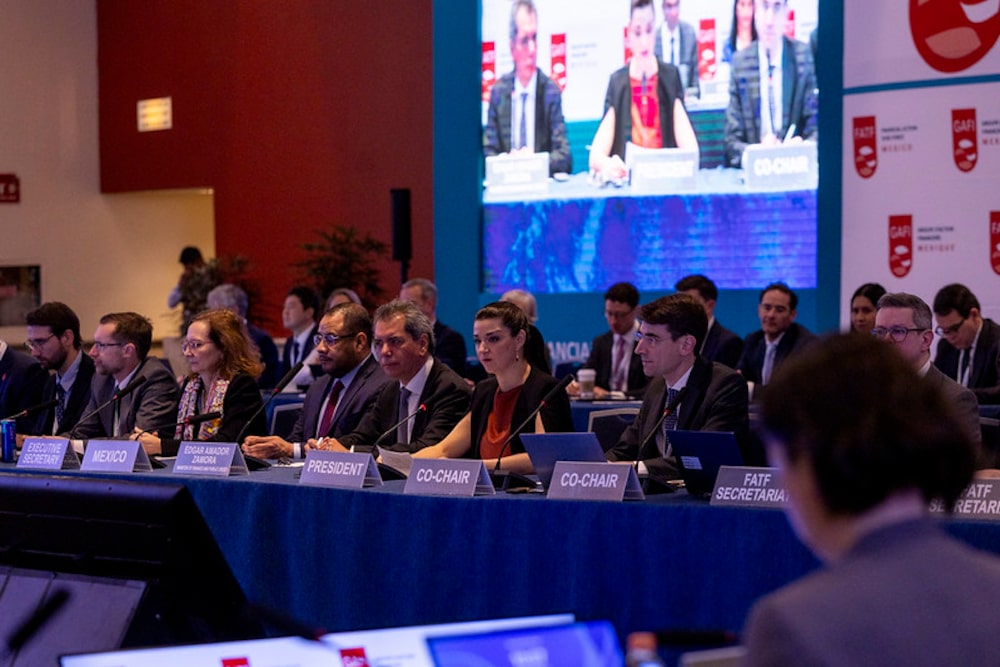 Elisa de Anda presidenta de GAFI Elisa de Anda presidenta de GAFI