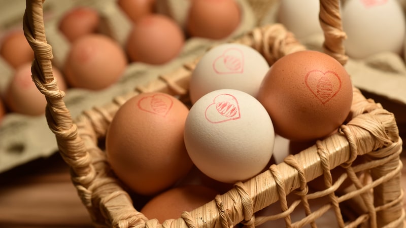 Mantiqueira, com JBS como sócia, acerta compra para entrar no mercado dos EUA Mantiqueira, com JBS como sócia, acerta compra para entrar no mercado dos EUA