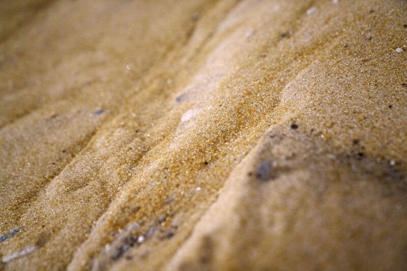 La industria india pide al gobierno que permita hasta 2 millones de toneladas de exportaciones. La industria india pide al gobierno que permita hasta 2 millones de toneladas de exportaciones.