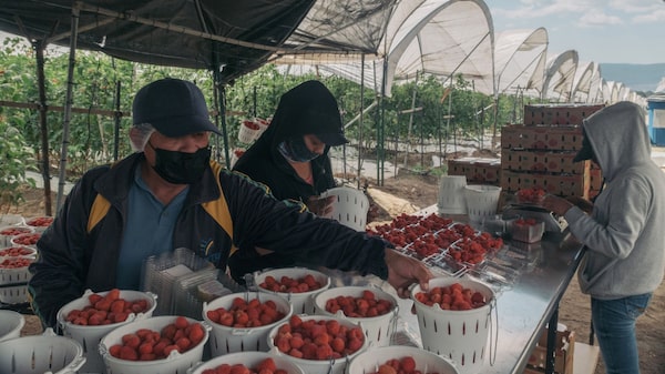 Jornada laboral de 40 horas, ¿se aprobará la reforma antes de que termine 2023? Jornada laboral de 40 horas, ¿se aprobará la reforma antes de que termine 2023?