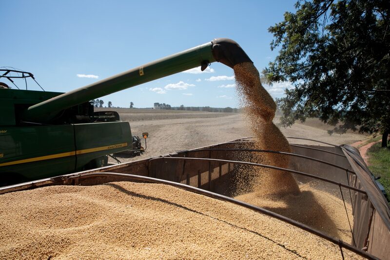 A Soy Harvest As Crop Futures Fall On Brazil Real Crash And Virus Woes A Soy Harvest As Crop Futures Fall On Brazil Real Crash And Virus Woes