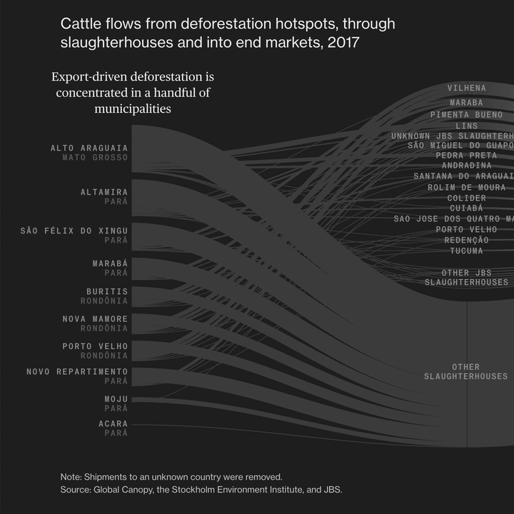 Ciclo da carne Ciclo da carne