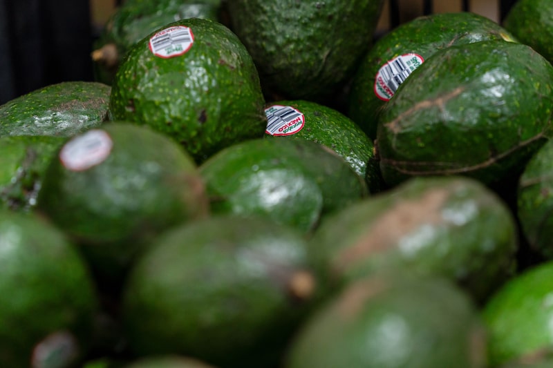 Avocados at an avocado packaging facility in Uruapan, Michoacan state, Mexico, on Tuesday, March 18, 2025. US President Donald Trump this month imposed 25% tariffs on goods from Mexico and Canada, but then gave a reprieve until April 2 on items that fall under the North American trade agreement. Photographer: Stephania Corpi/Bloomberg Avocados at an avocado packaging facility in Uruapan, Michoacan state, Mexico, on Tuesday, March 18, 2025. US President Donald Trump this month imposed 25% tariffs on goods from Mexico and Canada, but then gave a reprieve until April 2 on items that fall under the North American trade agreement. Photographer: Stephania Corpi/Bloomberg
